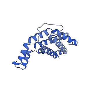 6769_5y6p_gt_v1-0
Structure of the phycobilisome from the red alga Griffithsia pacifica