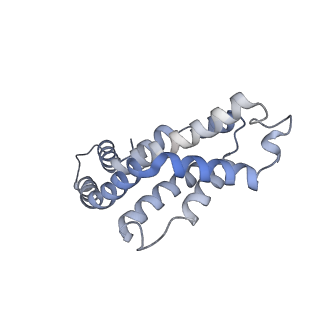 6769_5y6p_h7_v1-0
Structure of the phycobilisome from the red alga Griffithsia pacifica
