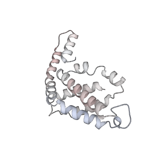 6769_5y6p_hA_v1-0
Structure of the phycobilisome from the red alga Griffithsia pacifica