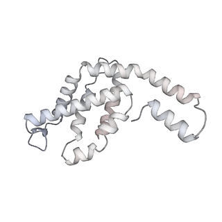 6769_5y6p_hC_v1-0
Structure of the phycobilisome from the red alga Griffithsia pacifica