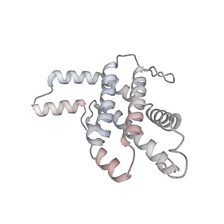 6769_5y6p_hD_v1-0
Structure of the phycobilisome from the red alga Griffithsia pacifica