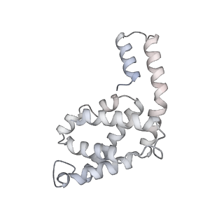 6769_5y6p_hE_v1-0
Structure of the phycobilisome from the red alga Griffithsia pacifica