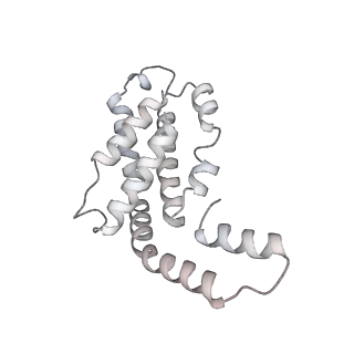 6769_5y6p_hK_v1-0
Structure of the phycobilisome from the red alga Griffithsia pacifica