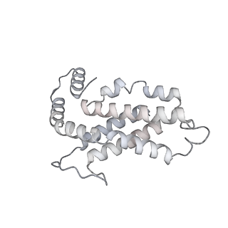6769_5y6p_hL_v1-0
Structure of the phycobilisome from the red alga Griffithsia pacifica