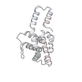 6769_5y6p_hP_v1-0
Structure of the phycobilisome from the red alga Griffithsia pacifica