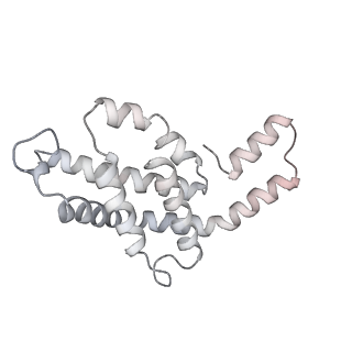 6769_5y6p_hQ_v1-0
Structure of the phycobilisome from the red alga Griffithsia pacifica