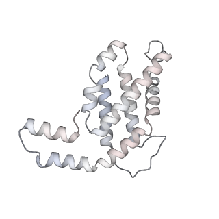6769_5y6p_hR_v1-0
Structure of the phycobilisome from the red alga Griffithsia pacifica