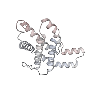 6769_5y6p_hT_v1-0
Structure of the phycobilisome from the red alga Griffithsia pacifica