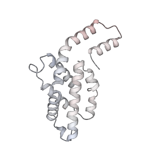 6769_5y6p_hU_v1-0
Structure of the phycobilisome from the red alga Griffithsia pacifica