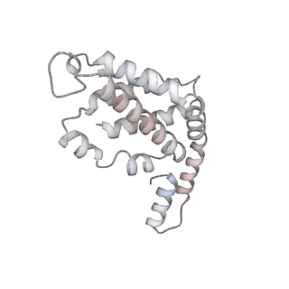 6769_5y6p_hW_v1-0
Structure of the phycobilisome from the red alga Griffithsia pacifica