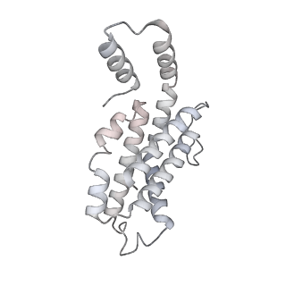 6769_5y6p_hX_v1-0
Structure of the phycobilisome from the red alga Griffithsia pacifica
