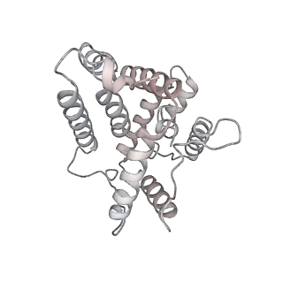 6769_5y6p_hY_v1-0
Structure of the phycobilisome from the red alga Griffithsia pacifica