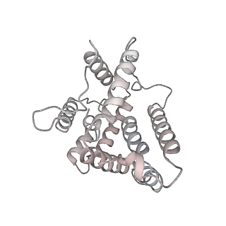 6769_5y6p_hZ_v1-0
Structure of the phycobilisome from the red alga Griffithsia pacifica