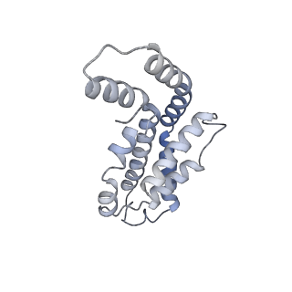 6769_5y6p_i2_v1-0
Structure of the phycobilisome from the red alga Griffithsia pacifica