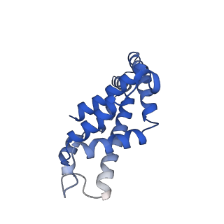6769_5y6p_iB_v1-0
Structure of the phycobilisome from the red alga Griffithsia pacifica