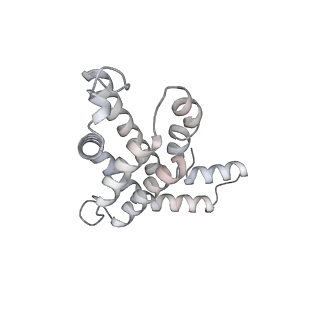 6769_5y6p_j8_v1-0
Structure of the phycobilisome from the red alga Griffithsia pacifica