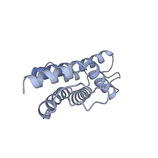 6769_5y6p_jO_v1-0
Structure of the phycobilisome from the red alga Griffithsia pacifica