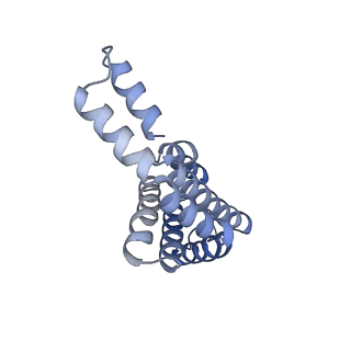 6769_5y6p_k1_v1-0
Structure of the phycobilisome from the red alga Griffithsia pacifica