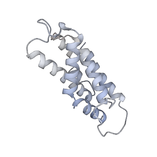 6769_5y6p_kQ_v1-0
Structure of the phycobilisome from the red alga Griffithsia pacifica