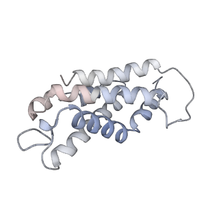 6769_5y6p_kW_v1-0
Structure of the phycobilisome from the red alga Griffithsia pacifica