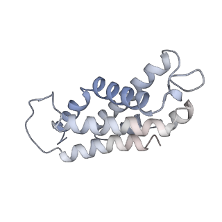 6769_5y6p_kX_v1-0
Structure of the phycobilisome from the red alga Griffithsia pacifica