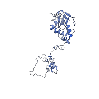 6769_5y6p_ka_v1-0
Structure of the phycobilisome from the red alga Griffithsia pacifica