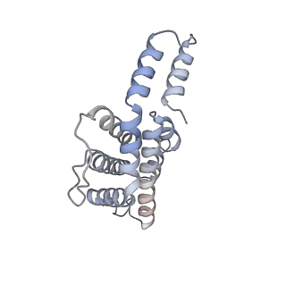 6769_5y6p_l2_v1-0
Structure of the phycobilisome from the red alga Griffithsia pacifica