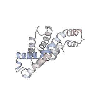 6769_5y6p_l8_v1-0
Structure of the phycobilisome from the red alga Griffithsia pacifica