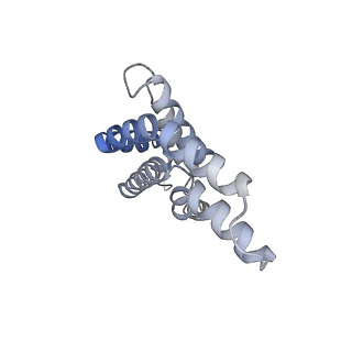 6769_5y6p_la_v1-0
Structure of the phycobilisome from the red alga Griffithsia pacifica