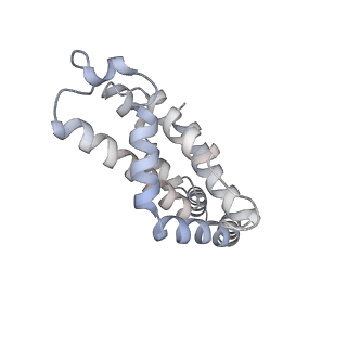6769_5y6p_lc_v1-0
Structure of the phycobilisome from the red alga Griffithsia pacifica