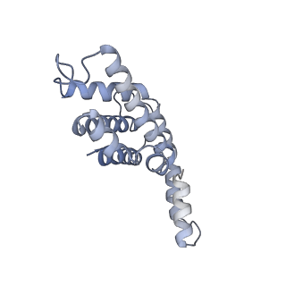 6769_5y6p_lf_v1-0
Structure of the phycobilisome from the red alga Griffithsia pacifica
