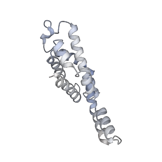 6769_5y6p_lg_v1-0
Structure of the phycobilisome from the red alga Griffithsia pacifica