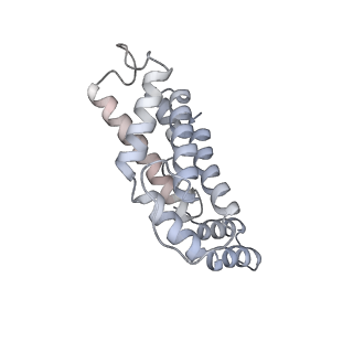 6769_5y6p_lj_v1-0
Structure of the phycobilisome from the red alga Griffithsia pacifica
