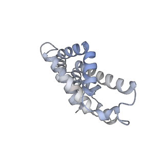 6769_5y6p_lk_v1-0
Structure of the phycobilisome from the red alga Griffithsia pacifica
