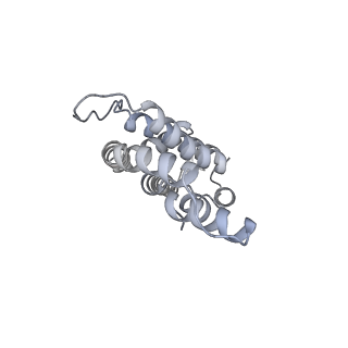 6769_5y6p_ln_v1-0
Structure of the phycobilisome from the red alga Griffithsia pacifica