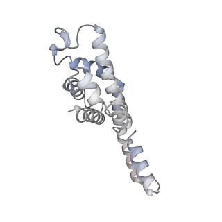 6769_5y6p_lo_v1-0
Structure of the phycobilisome from the red alga Griffithsia pacifica
