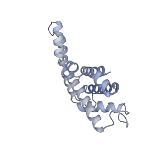 6769_5y6p_lp_v1-0
Structure of the phycobilisome from the red alga Griffithsia pacifica