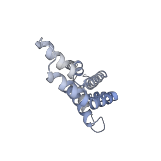 6769_5y6p_lq_v1-0
Structure of the phycobilisome from the red alga Griffithsia pacifica