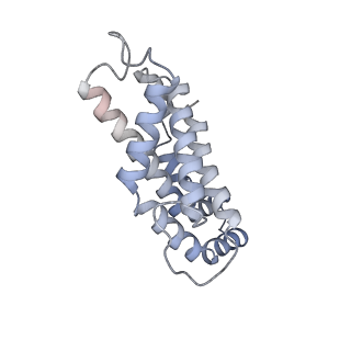 6769_5y6p_lr_v1-0
Structure of the phycobilisome from the red alga Griffithsia pacifica