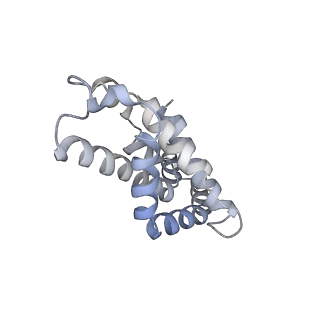 6769_5y6p_ls_v1-0
Structure of the phycobilisome from the red alga Griffithsia pacifica