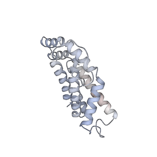 6769_5y6p_lx_v1-0
Structure of the phycobilisome from the red alga Griffithsia pacifica