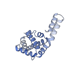 6769_5y6p_m3_v1-0
Structure of the phycobilisome from the red alga Griffithsia pacifica