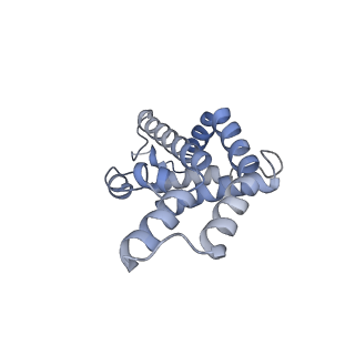 6769_5y6p_m5_v1-0
Structure of the phycobilisome from the red alga Griffithsia pacifica