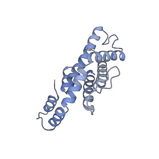6769_5y6p_n3_v1-0
Structure of the phycobilisome from the red alga Griffithsia pacifica