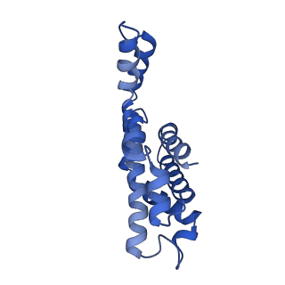 6769_5y6p_o1_v1-0
Structure of the phycobilisome from the red alga Griffithsia pacifica