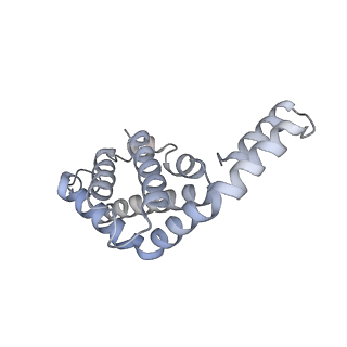 6769_5y6p_o7_v1-0
Structure of the phycobilisome from the red alga Griffithsia pacifica
