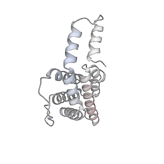 6769_5y6p_p2_v1-0
Structure of the phycobilisome from the red alga Griffithsia pacifica