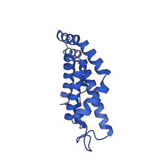 6769_5y6p_r1_v1-0
Structure of the phycobilisome from the red alga Griffithsia pacifica