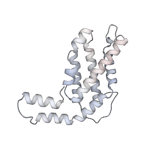 6769_5y6p_r2_v1-0
Structure of the phycobilisome from the red alga Griffithsia pacifica