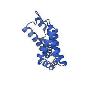 6769_5y6p_s1_v1-0
Structure of the phycobilisome from the red alga Griffithsia pacifica
